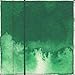 Golden QoR Watercolor 7000385-1 Permanent Green Light 11ml