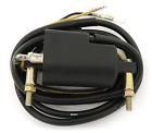 Compatible with Suzuki/Kawasaki/Universal 4 Ohm Dual Output Ignition Coil - 12 Volt