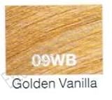 Redken Shades EQ Cream Hair Color - 09WB Golden Vanilla