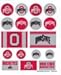 Wincraft NCAA Ohio State University Vinyl Sticker Sheet, 5