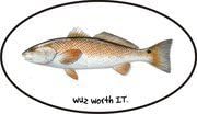 Red Drum Sticker