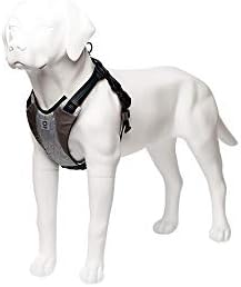 grey puppy harness