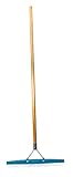 Grandi Groom AB24 Carpet Rake, 18-Inch Head, 54-Inch Handle, Blue