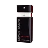 Silver Scent Intense - Eau de Toilette
