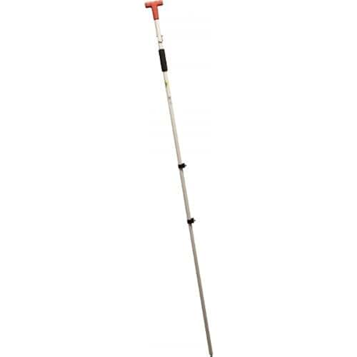 outdoor plants in pots shade