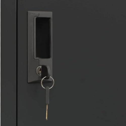 EKE Locker Metalico 185 X 38 X 45 Grande Almacenamiento Resistente Lockers Casilleros de Metal con Llave para Oficina Escuela Gimnasio o Casa (4 Puerta, Negro)