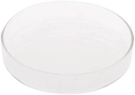โคNew Arrival Fish Tank Feeder Aquarium Shrimp Glass Feeding Bowl Dish Tray 6 Size