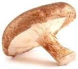 1 Can of Future Essentials Canned Dehydrated Sliced Shiitake Mushrooms