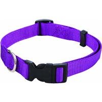 Westminster Pet 34142 Nylon Pet Fashion Collar