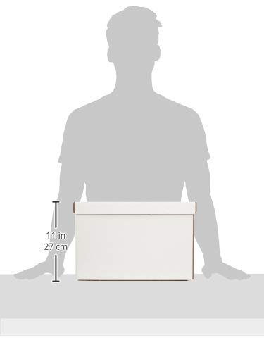 5 AmazonBasics+Storage+Filing+Lift+Off+12+Pack