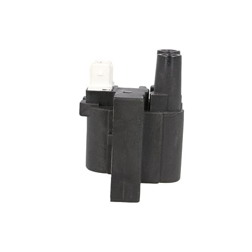 Delphi CE20047-12B1 Zndspule