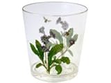 Corelle Coordinates Camellia 14 Ounce Acrylic Glasses, Set of 6