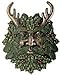 Greenman Winter Plaque Fantasy Designer Decoration Collectible