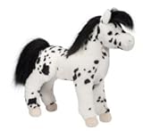 Black Appaloosa
