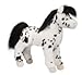 Black Appaloosa