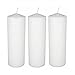 D'light Online 3 X 8 Pillar Candles Bulk Event Pack Round Unscented White Pillar Candles - Set of 12 (3 X 8, White) primary