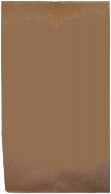 AMPAC TV20PL1M 20lb Natural Kraft Paper Bag, 500-Pk. (Pack of 2)