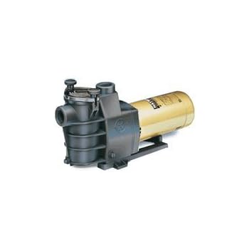 Amazon.com : Hayward SP2815X20 2 HP Standard Efficient