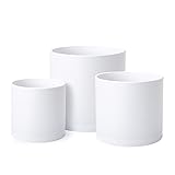 6.5 Inch 8 Inch 10 Inch, Set of 3 Plastic Planter