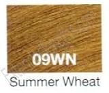 Redken Shades EQ Cream Hair Color - 09WN Summer Wheat