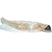 Carephy Plastic Sheeting for Body Wrap 47