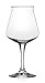Rastal Teku 3.0 Tulip Craft Beer Glasses - the Original, Non-Nucleated, Glass for Tasting Beer, Italian Made, 14.2ounce, Set of 6 Pack