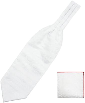 WANYINGMen's Retro Ascot Ties Cravat Ties Ascot Neckties Chic for Gentleman - Paisley
