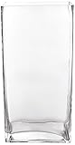WGV Clear Rectangle Block Glass Vase, 4 by 6 by 12-Inch