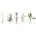 SAMPAR- PRODIGAL PEN - Essential Oils Anti-Imperfection Roll-On - Combination skin prone to blemishes - Cruelty Free - 0.21 oz