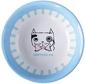 MushroomCat Ceramics Double Feeding Bowl for CAT/Dog,Cute Cartoon Pattern,Iron Support,Non-Slip,Food or Water,Large Size