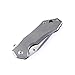 KIZER Cutlery Folding Pocket Knives Clip Point Blade Flipper Knife Frame Lock Titanium Handles Flipper Knife, Uprising Ki4491A1