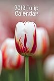 2019 Tulip Calendar by Guy Jameson