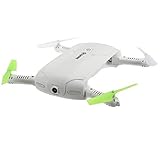 EACHINE E50 WIFI FPV Quadcopter With Camera Foldable Arm Altitude Hold RC Mini Quadcopter Selfie Pocket Drone RTF