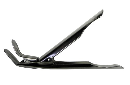 website template image