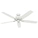 Hunter Indoor Ceiling Fan with LED Light and pull chain control - Donegan 60 inch, Onyx Bengal, 54170