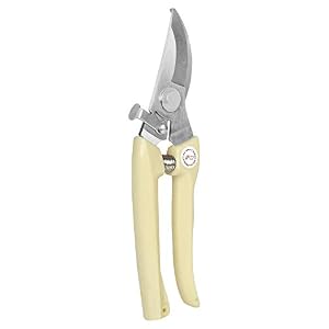 31%2B66bkLX8L. SS300