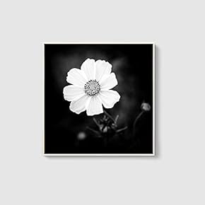 Framed Canvas Home Artwork Decoration Beautiful Flower Canvas Wall Art for Living Room, Bedroom - 16x16 inches