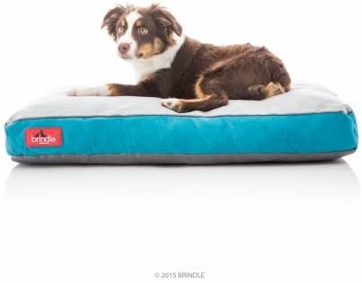 Brindle Soft Memory Foam Dog Bed with Washable Cover - 28in x 18in - Teal