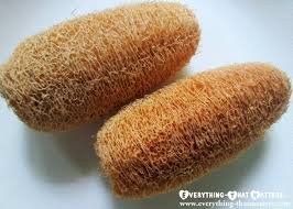 Galaxy Natural Bath Scrub Loofah Vegetable Fibre - Pack of 4