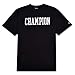 Champion Mens Big and Tall Short Sleeve T Shirt with High Density Logo