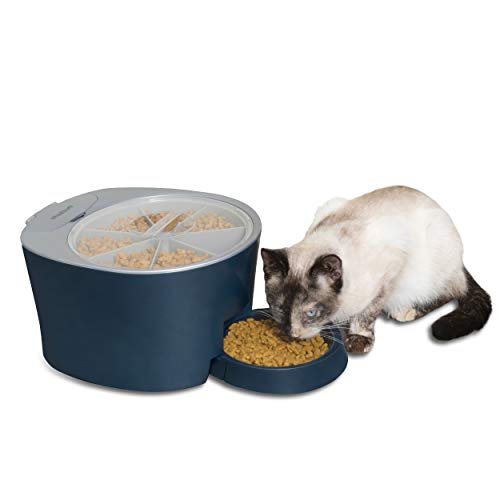 Petsafe Automatic 6 Meal Pet Feeder Tiendamia Com