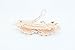 Yeshan Women Rhinestone Crystal beaded Flower Pattern Hair Barrettes Clips,White