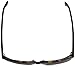 Tom Ford 336 55J Tortoise Leo Wayfarer Sunglasses Lens Category 3 Lens Mirrored
