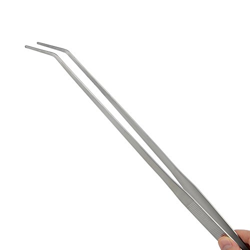2 LILYS+PET+Straight+Stainless+Tweezers