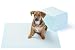 AmazonBasics Regular Pet Dog and Puppy Training Pads - Pack of 50 primary