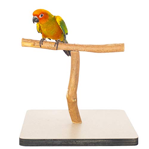 Birds LOVE Small Dragonwood Bird T-Stand Perch Gym Training Playstand Cockatiels Lovebirds Parakeets Conures 11.75″ x 11.75″ x 9.25″