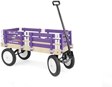 Pee-Wee Flyer Purple