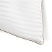 Italian Luxury Plush Gel Pillows 2100 Series (2-Pack) - Premium Quality Luxury Hotel Collection - Hypoallergenic & Dust Mite Resistant - Queen