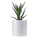 FaithLand Plant Pot 8 inch - Perfectly Fits Mid-Century Modern Plant Stand - Drainage Plug and Drainage Mesh Screen - Matte White Planter Pot