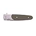 Firebird Knife F743-1 by Ganzo G743-1 Pocket Folding Hunting Knife G-10 Handle SS Blade (Green)